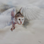 Workshop 1 - “The Fundamentals in Watercolour painting”