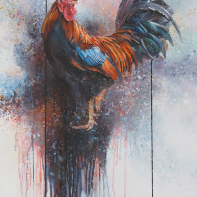 Barry McCann Rooster 53 x 91 cm acrylic