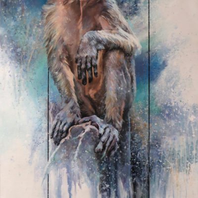 Barry McCann Monkey 53 x 91 cm acrylic